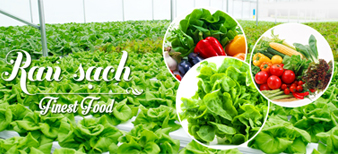 (HỘ KINH DOANH) VÕ THỊ THÙY TRANG